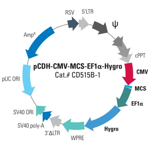 Pcdh -cmv-mcs-ef1-hygro cdna cloning and expression vector 10 µg