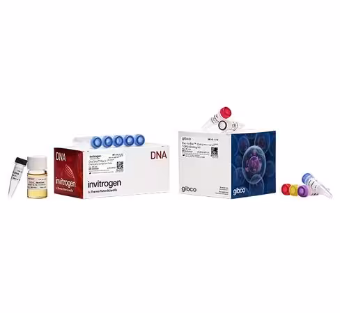 Bac-to-bac c-his topo cloning kit-20 réactions
