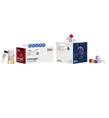 Bac-to-bac hbm topo cloning kit-20 réactions