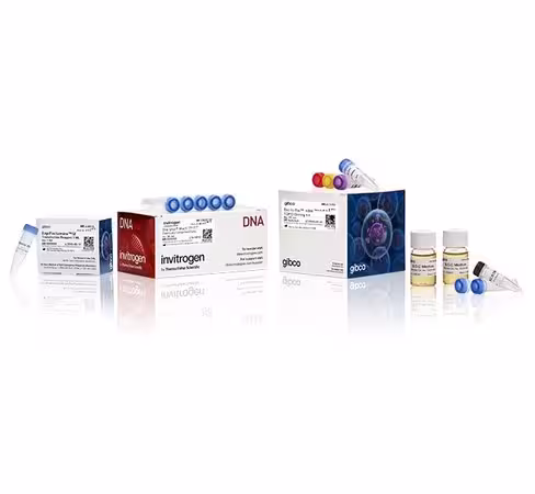 Bac-to-bac hbm topo secreted expression system-20 réactions