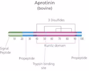 Aprotinin from bovine lung cell culture 10 mg