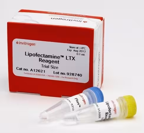 Lipofectamine ltx reagent with plus reagent-0.1 ml