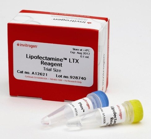 Lipofectamine ltx reagent with plus reagent-0.1 ml