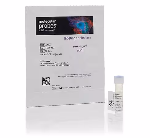 Annexin v, fitc conjugate (replaces annexinv01, annexinv013, phn1010, phn1008)-500 µL