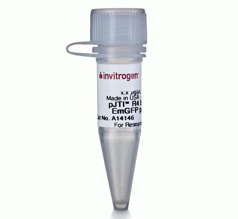 Pjti r4 exp cmv emgfp pa vector-100 µg