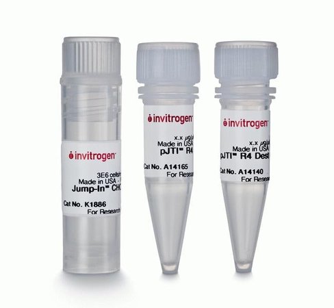 Jump-in cho-k1 kit-1 kit