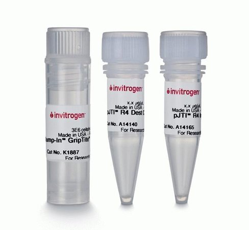 Jump-in griptite hek 293 kit-1 kit