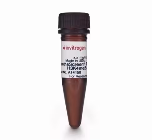Lanthascreen tb-anti-histone h3k4me2 antibody-100 µg