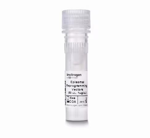 Episomal ipsc reprogramming vectors-1 tube 1 tubes