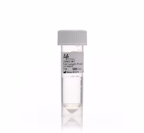 Lrrk2 wt full length protein-10 µg