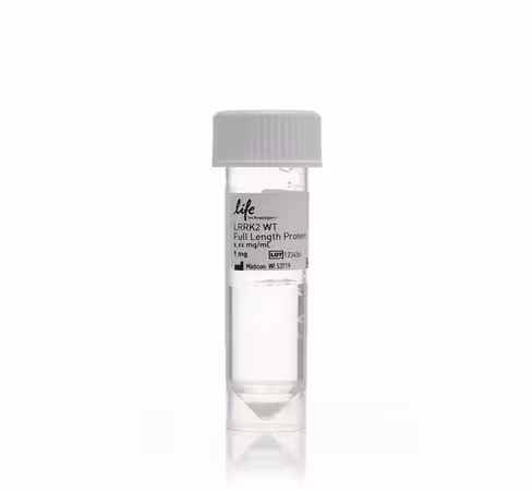 Lrrk2 wt full length protein-100 µg