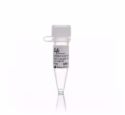 Lrrk2 g2019s full length protein-10 µg