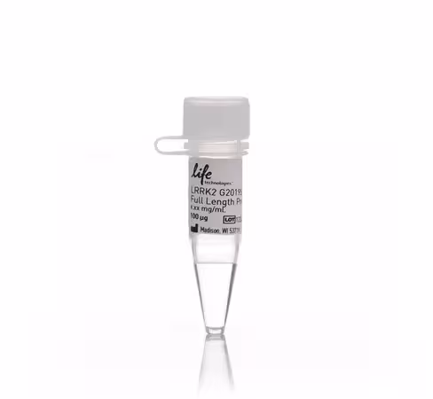Lrrk2 g2019s full length protein-100 µg