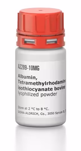Albumin bovine-tetramethyl rhodamine is 10 mg