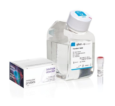 Tra-1-60 alexa fluor 555 conjugate kit for live cell imaging-50 tests