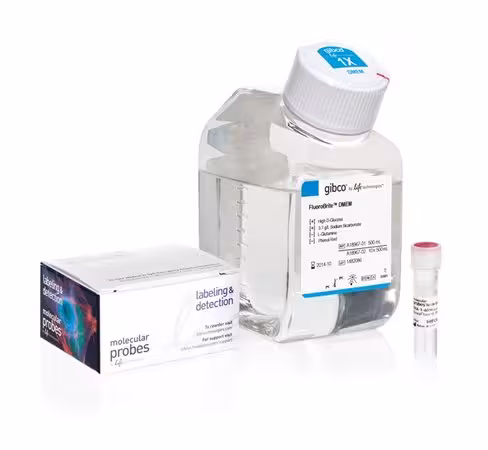 Tra-1-60 alexa fluor 594 conjugate kit for live cell imaging-50 tests