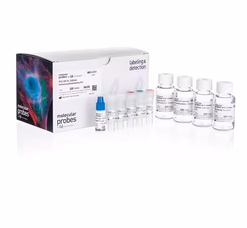 Pluripotent stem cell immunocytochemistry kit (oct4, ssea4)-40 tests