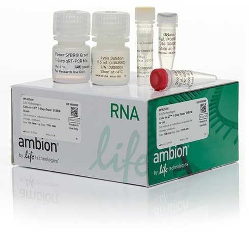 Cells-to-ct 1-step power sybr green kit-100 preps