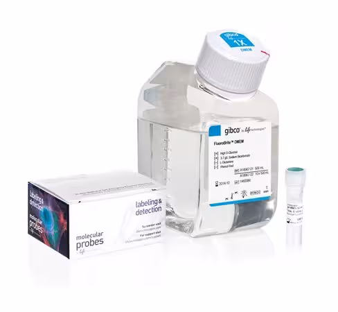 Tra-1-60 alexa fluor 488 conjugate kit for live cell imaging-50 tests