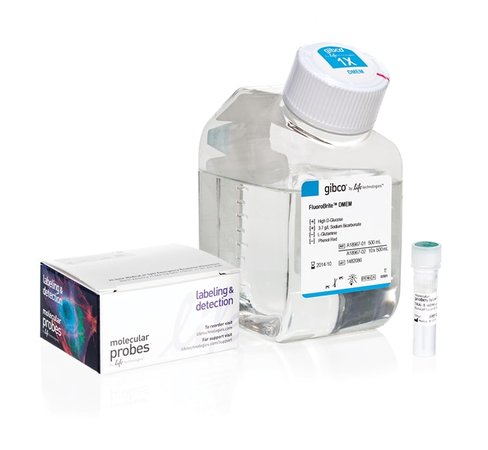 Tra-1-60 alexa fluor 488 conjugate kit for live cell imaging-50 tests