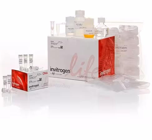Precision grna synthesis kit 1 réactions