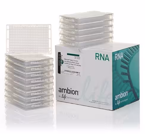 Silencer select human drug targets sirna library (384 well) 1 kit