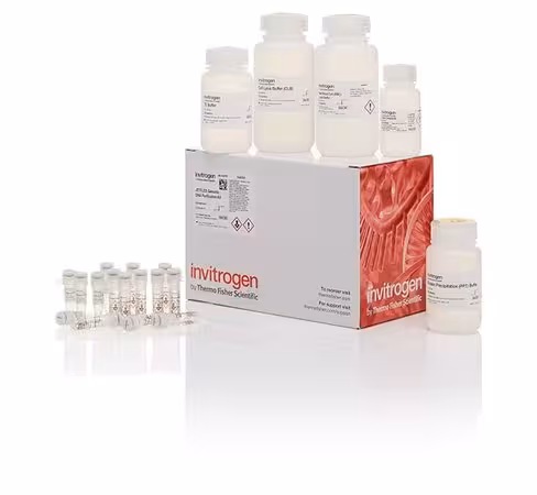 Jetflex genomic dna purification kit-100 preps