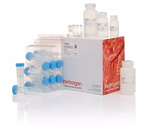Jetquick blood and cell culture dna midiprep kit-20 preps