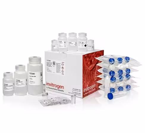 Purelink expi endotoxin-free maxi plasmid purification kit-25 preps