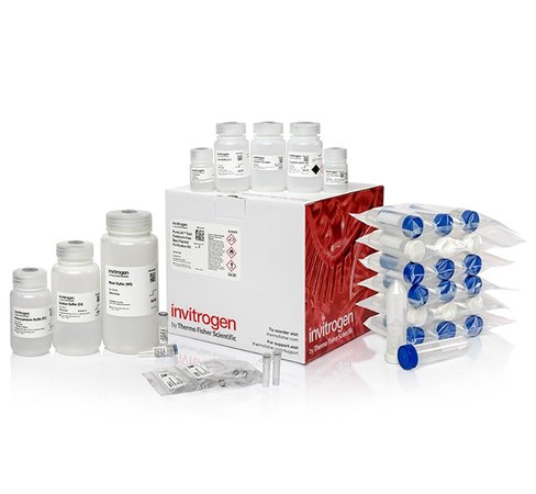 Purelink expi endotoxin-free maxi plasmid purification kit-25 preps