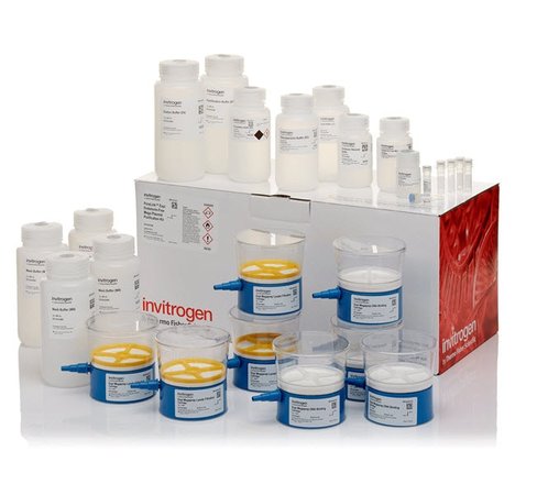 Purelink expi endotoxin-free mega plasmid purification kit-4 preps