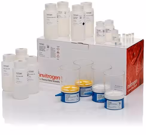Purelink expi endotoxin-free giga plasmid purification kit-2 preps