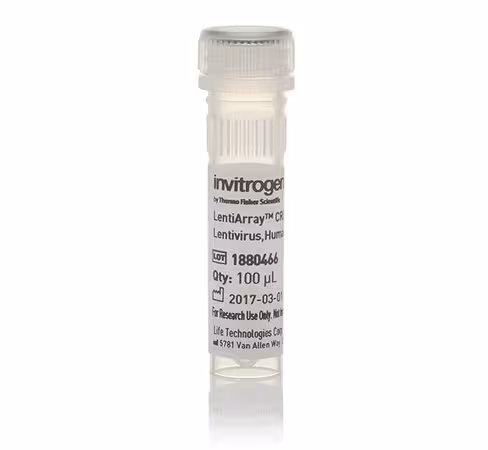 Lentiarray crispr positive control lentivirus, human hprt, with gfp-100 µL