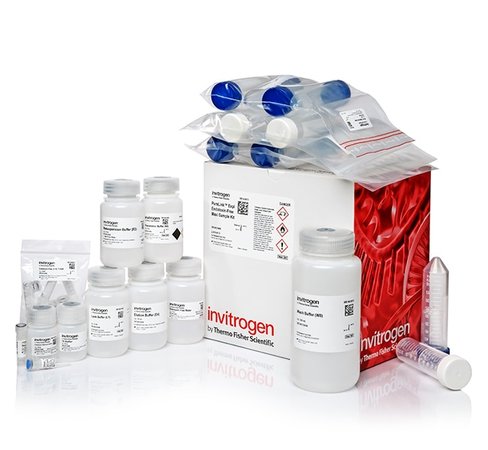 Purelink expi endotoxin-free maxi plasmid purification kit-4 preps (sample size) 4 preps
