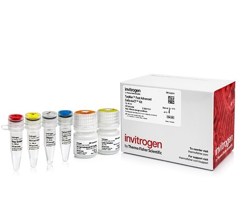 Taqman fast advanced cells-to-ct kit-40 réactions