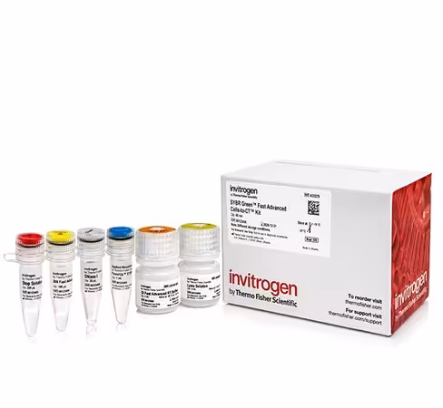 Sybr green fast advanced cells-to-ct kit-40 réactions