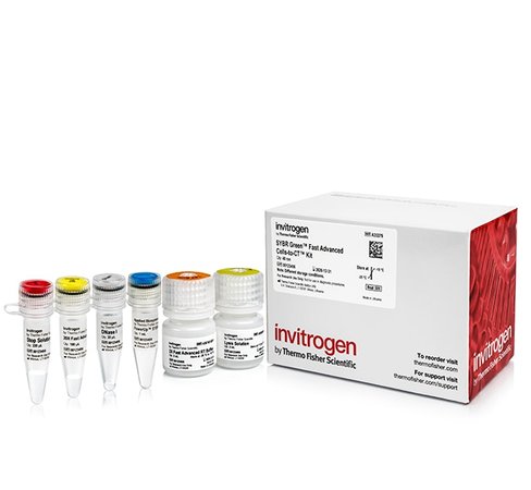Sybr green fast advanced cells-to-ct kit-40 réactions