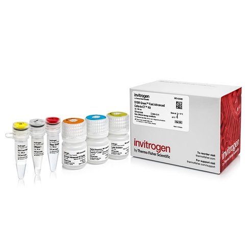 Sybr green fast advanced cells-to-ct kit-100 réactions