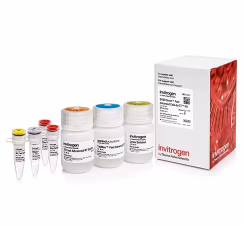Sybr green fast advanced cells-to-ct kit-400 réactions