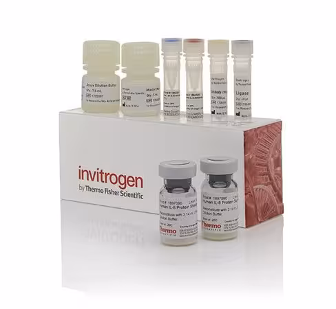 Flt-3 ligand human proquantum immunoassay kit-5 x 96 tests