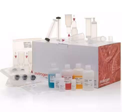Purelink fast low-endotoxin midi plasmid purification kit-50 preps