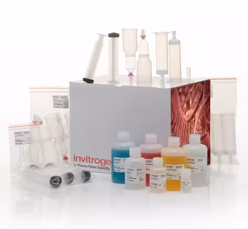 Purelink fast low-endotoxin maxi plasmid purification kit-20 preps