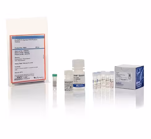 Sanger sequencing kit-200 réactions