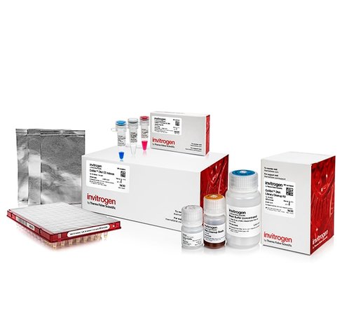 Collibri pcr-free es dna library prep kit for illumina systems, with cd indexes-24 preps