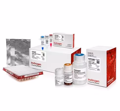 Collibri pcr-free es dna library prep kit for illumina systems, with ud indexes (set a, 1-24)-24 preps