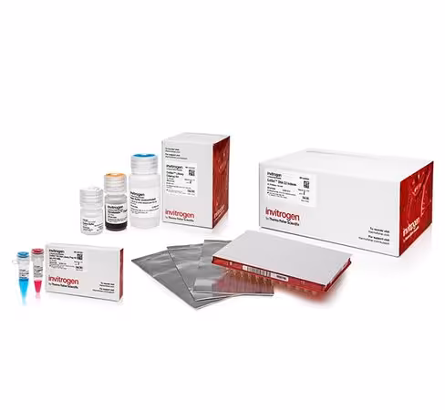 Collibri pcr-free ps dna library prep kit for illumina systems, with cd indexes-24 preps