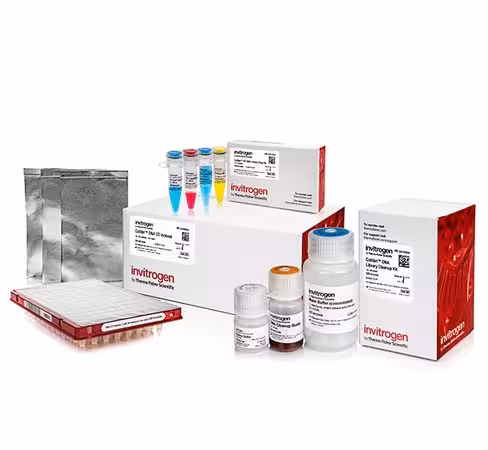 Collibri ps dna library prep kit for illumina systems, with cd indexes-24 preps