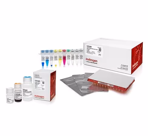 Collibri stranded rna library prep kit for illumina systems-24 preps