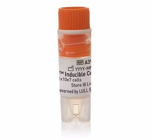 Expi293f inducible cells-1 vial