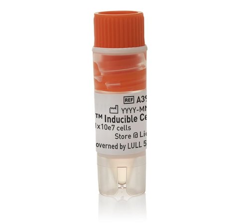 Expi293f inducible cells-1 vial